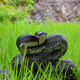 Black rat snake. Wikimedia Commons